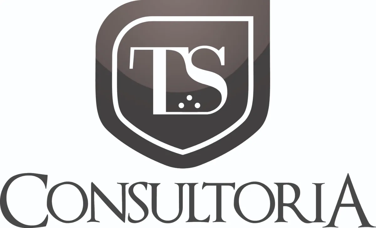 TS Consultoria