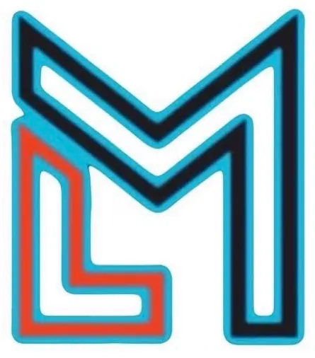 lm servicos de limpezas em geral